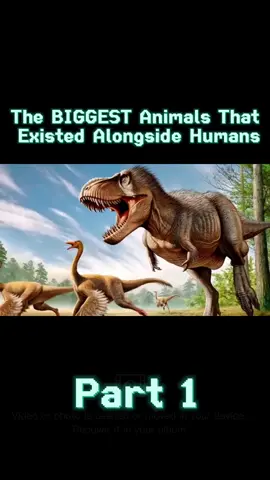 The BIGGEST Animals That Existed Alongside Humans