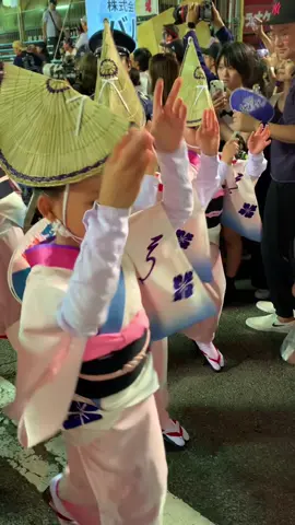 #imjapan #awaodori #tokushima #japan #japantravel 