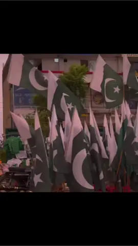 𝘿𝙞𝙡 𝙨𝙚 𝙢𝙚𝙞𝙣𝙚 𝙙𝙚𝙠𝙝𝙖 𝙋𝙖𝙠𝙞𝙨𝙩𝙖𝙣 🤍💚🇵🇰 #trending #14august #repost #independenceday #viraltiktok #foryou #foryoupage #fypシ゚viral #explore #viraltiktok #viralvideo #cloud_aesthetic1 