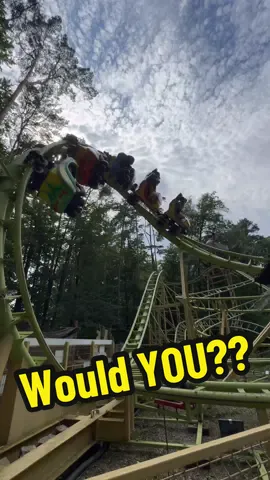 Your first @ has to ride the BRUTAL Cobra coaster 🤕😆 #cobra #rollercoaster #funfair #wouldyou #insane #fyp 