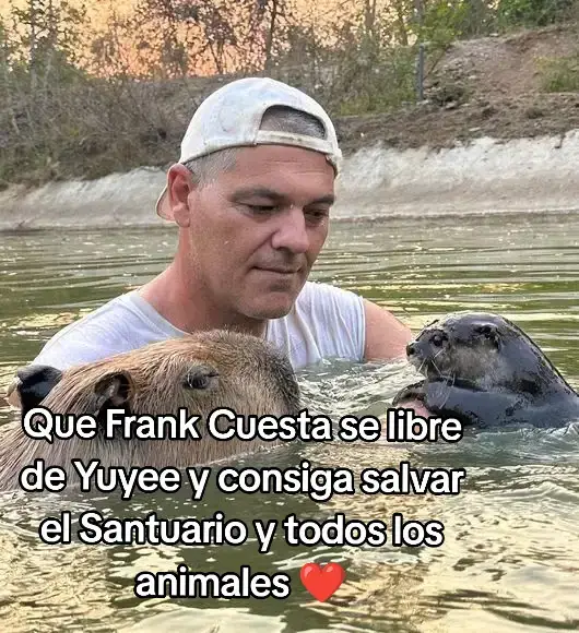 Frank es inmortal ❤️ #parati #frankcuesta #santuario #animales #directo #yuyee #fyp 