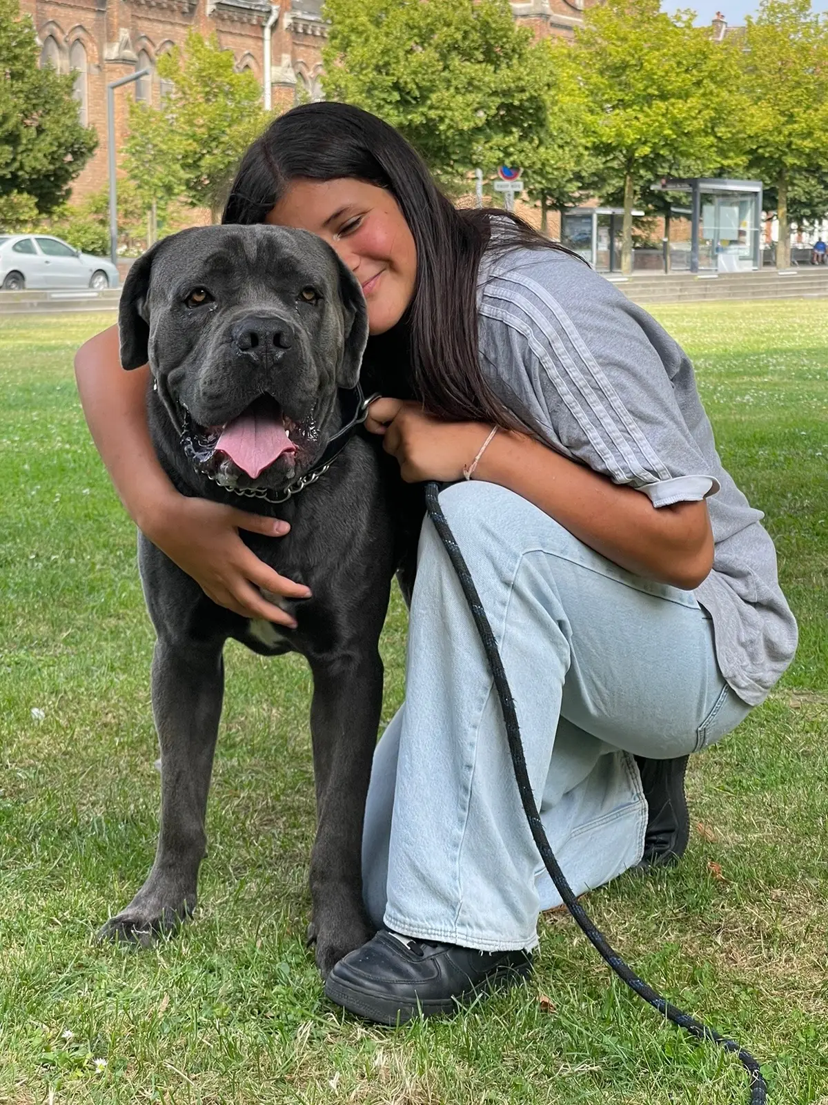 On a était a la ducasse il a était super sage j’étais trop fier 🙏🏼 0 peur,0 reactions avec toutes les musiques, les enfants et les gens qui le caressaient sans demander 🥲 #cane #canecorso #dog #dogs 