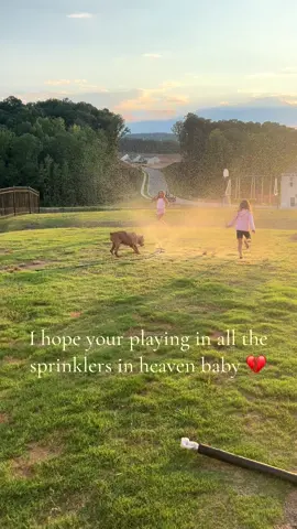 💔💔💔