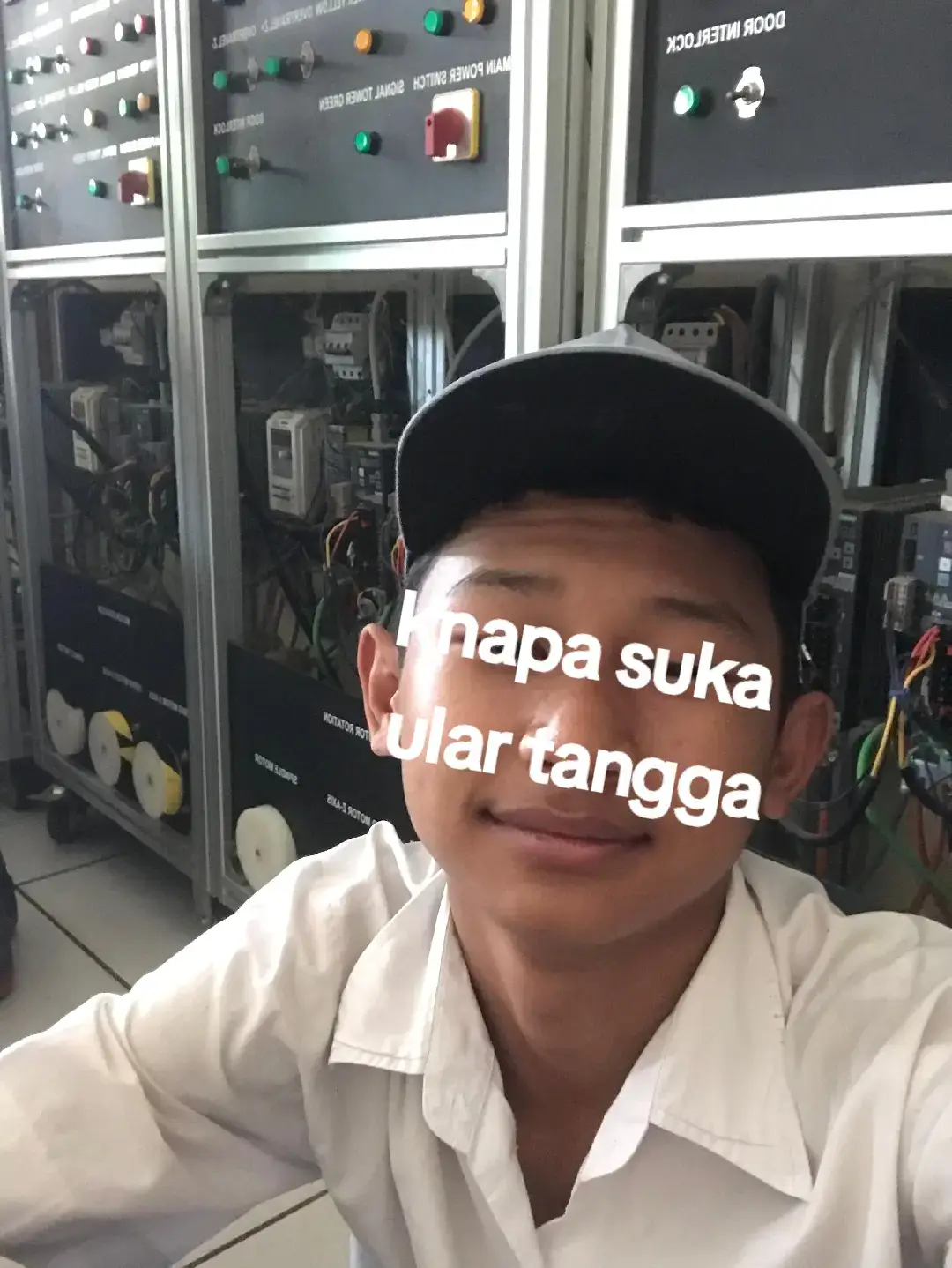 REAL KAH  😭😭#ulartanggapasutri  #ulartanggadewasa 