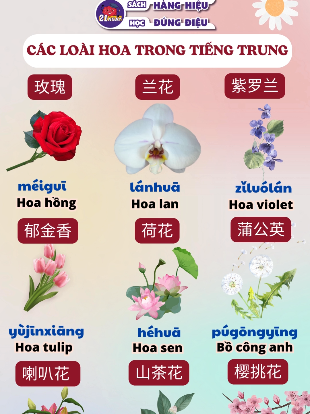 CÁC LOÀI HOA TRONG TIẾNG TRUNG #hacknao3000chuhan #ngoaingu21ngay #tiengtrung21ngay #hoctiengtrung #cacloaihoa🌸🌻🌹🌼