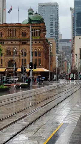 Rain-soaked trams glide past the historic Town Hall and Queen Victoria Building, as Sydney's heart beats with a timeless charm, even under the soft drizzle. ✨🌧️☔️🍃 #rainydays #sydneytownhall #qvb #queenvictoriabuilding #sydneytram #trams #sydneysweeney #sydneyaustralia 