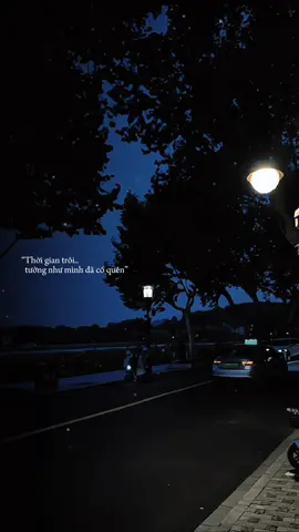 Thời gian trôi tưởng như mình đã cố quên..#_ily29th11 #tamtrang #lyrics#vetthuongtrongtim  #nhacmoimoingay 
