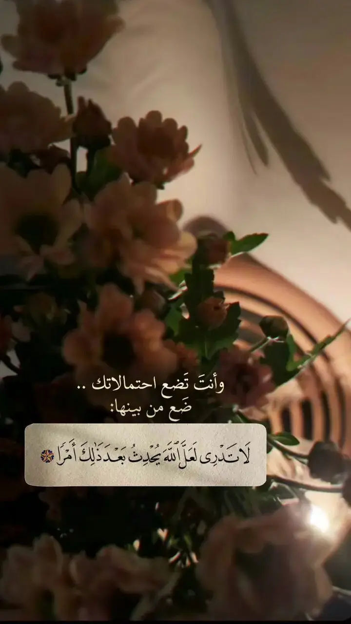 #القران_الكريم #ارح_سمعك_وقلبك❤🥀 #ارح_سمعك_بالقران♥️😍🧏‍♂️ #ارح_سمعك_وقلبك_بالقران_الكريم #راحه_نفسيه #القران_راحة_نفسية #القران_الكريم_راحة_نفسية#ياالله#راحه_نفسيه_مابعدها_راحه #ارح_سمعك_بالقران🎧♥️ #القران_اطمئنان_لقلبك #اكسبلورررررررررررررررررررر♡♡ #القران_الكريم_راحة_نفسية😍🕋 #راحه_نفسيه🍂🌿 #اكسبلورررررررررررررررررررر♡♡ #اقتباسات_عبارات_خواطر #اقتباسات_عبارات_خواطر #اقتباسات_عبارات_خواطر #لااله_الا_الله #محمد_رسول_الله #اكتب_شي_توجر_عليه_باذن_الله❤ #اكتب_شيء_تؤجر_عليه🌿🕊 #تلاوات_خاشعة #تلاوات_مؤثرة #تلاوات_قرآنية #تلاوات_مؤثرة #تلاوات_نادره#تلاوات_جميلة #ارح_سمعك_بالقران♥️😍🧏‍♂️ #ارح_سمعك_وقلبك❤🥀 