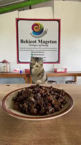 duh bekicot enak bet bangke 🤤 | #meme #fyp #absurd #kucinglucu #cat #warungbekicotmagetan 