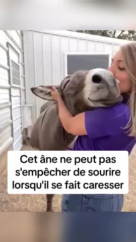 Les animaux sont si purs 🥺 #pourtoi #animal #animaux #animals 