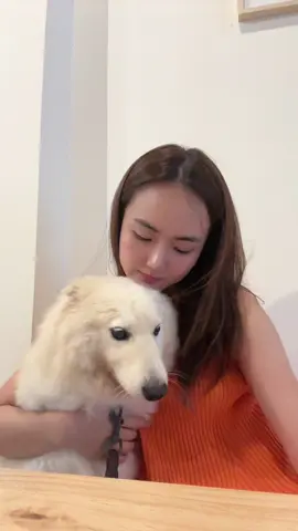 so so precious 🥺 #fyp #fypsg #tiktoksg 