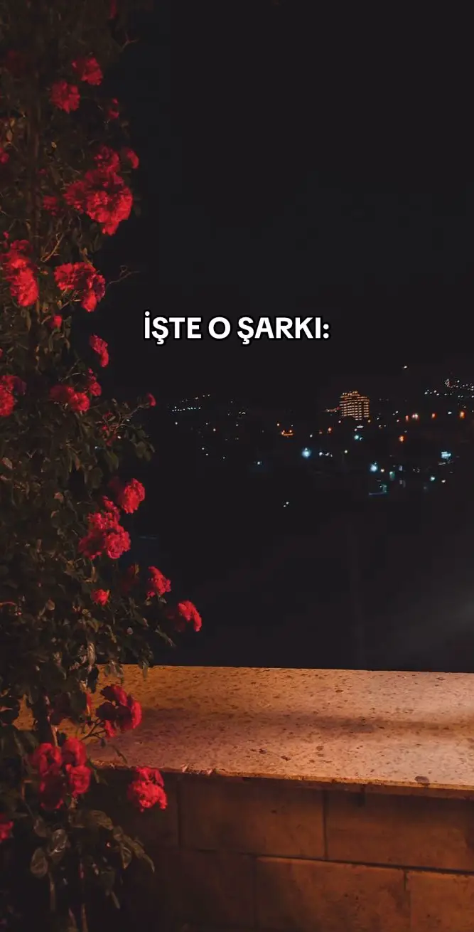 neyime sevda benim? beni annem bile sevmedi.