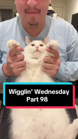 Wigglin’ Wednesday Part 98 🕺😶‍🌫️😈 the after-work wiggle party 🦭🔥 #cat #catsoftiktok #wigglinwednesday #melonnfinn #fyp #dance 
