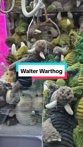 Jellycat - Walter Warthog #snagglebaggle #jellycat #quantum #clawmachine #arcade #plushies #satisfying #win #foryoupage #fypシ゚ #fyp #warthog #fyppppppppppppppppppppppp 