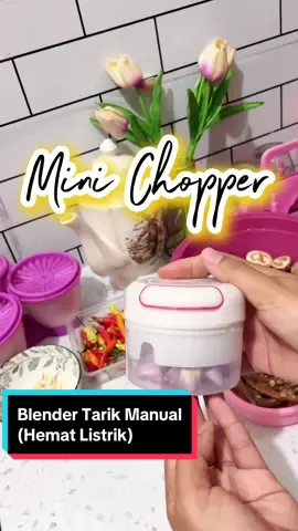 #minichopper #blendertarik #blendertariktanganmanual #fypシ #viralditiktok #bismillahfypシ 