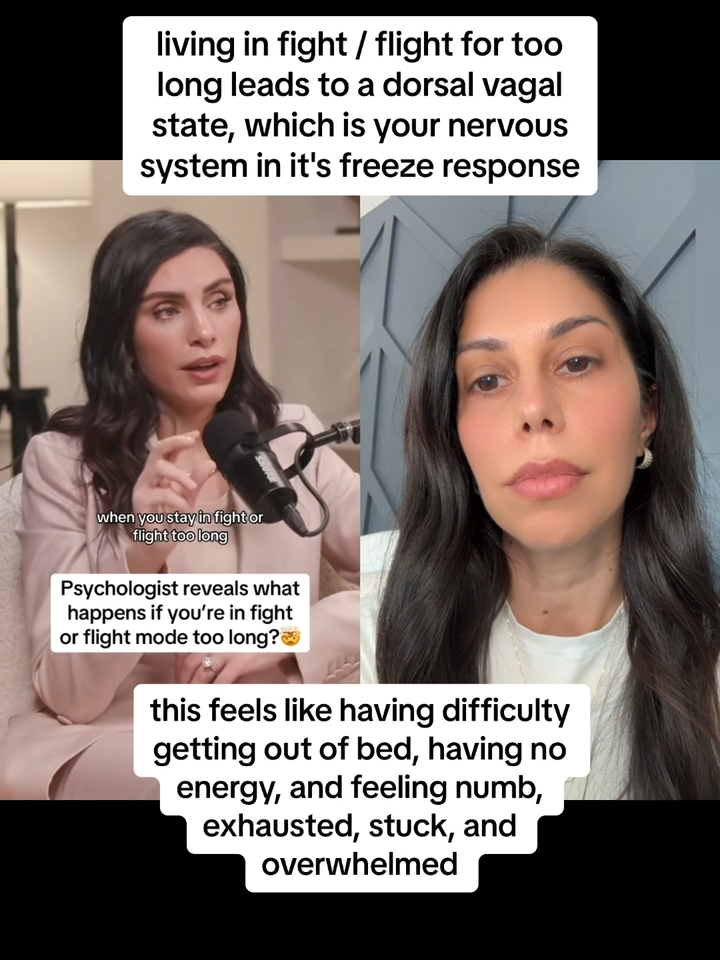 #duet with @thebalancetheorypodcast 🥹 heal your nervous system in 60 days 🔗 on profile ✨ #nervoussystem #nervoussystemregulation #nervoussystemhealing #fightflightfreeze #somatichealing #somaticexercise