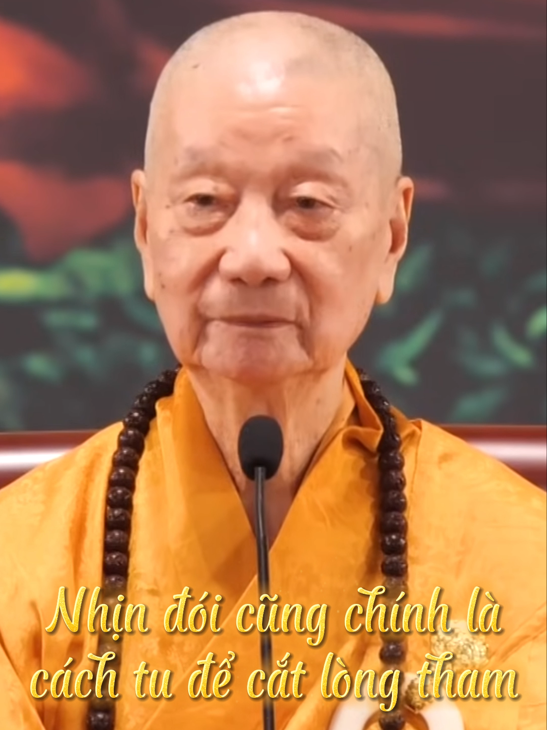 Nhịn đói cũng chính là cách tu để cắt lòng tham. Hòa Thượng Thích Trí Quảng khai thị #thichtriquang #hoathuongthichtriquang #nghephap #tutap #phatphap #phatgiao #daophat #daotrangphaphoa