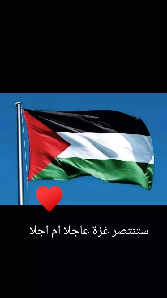 #الشعب_الصيني_ماله_حل🤕😞  #افلسطيني🇵🇸_وافتخر 