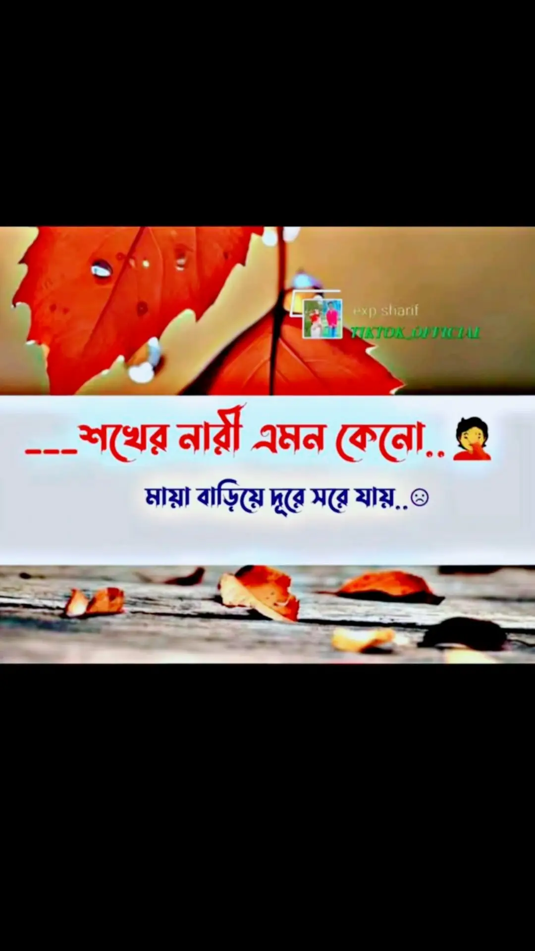 ভালোবাসা এমনই হয় 💔😍🦋🥀#🇧🇩💔🇲🇾 #foryoutiktok #viralvideo #banglsong_tiktok #bdtiktokofficial #😔🥺😭☀️☀️☀️ 