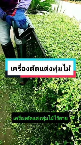 เครื่องตัดแต่งพุ่มไม้ หมดปัญหาต้นไม้ยาวไว  สะดวกใช้งานง่ายประหยัดเวลาตัดได้เรียบเนียนตามที่ต้องการ  วันนี้ส่งฟรี+เก็บปลายทาง  #เครื่องตัดแต่งพุ่มไม้ #เครื่องตัดแต่งพุ่มไม้ไร้สาย  #เครื่องตัดแต่งพุ่มไม้ใช้แบต #เลื่อยตัดแต่งกิ่งสูงไร้สาย  #คนสวน #จัดสวน #ตกแต่งสวน #อุปกรณ์ #อุปกรณ์จัดสวน #สวนสวย #สวนสวยด้วยมือเรา #ใช้ดีบอกต่อ #ของดีบอกต่อ #ป้ายยา #รีวิว @ลูกสาวหล้า 