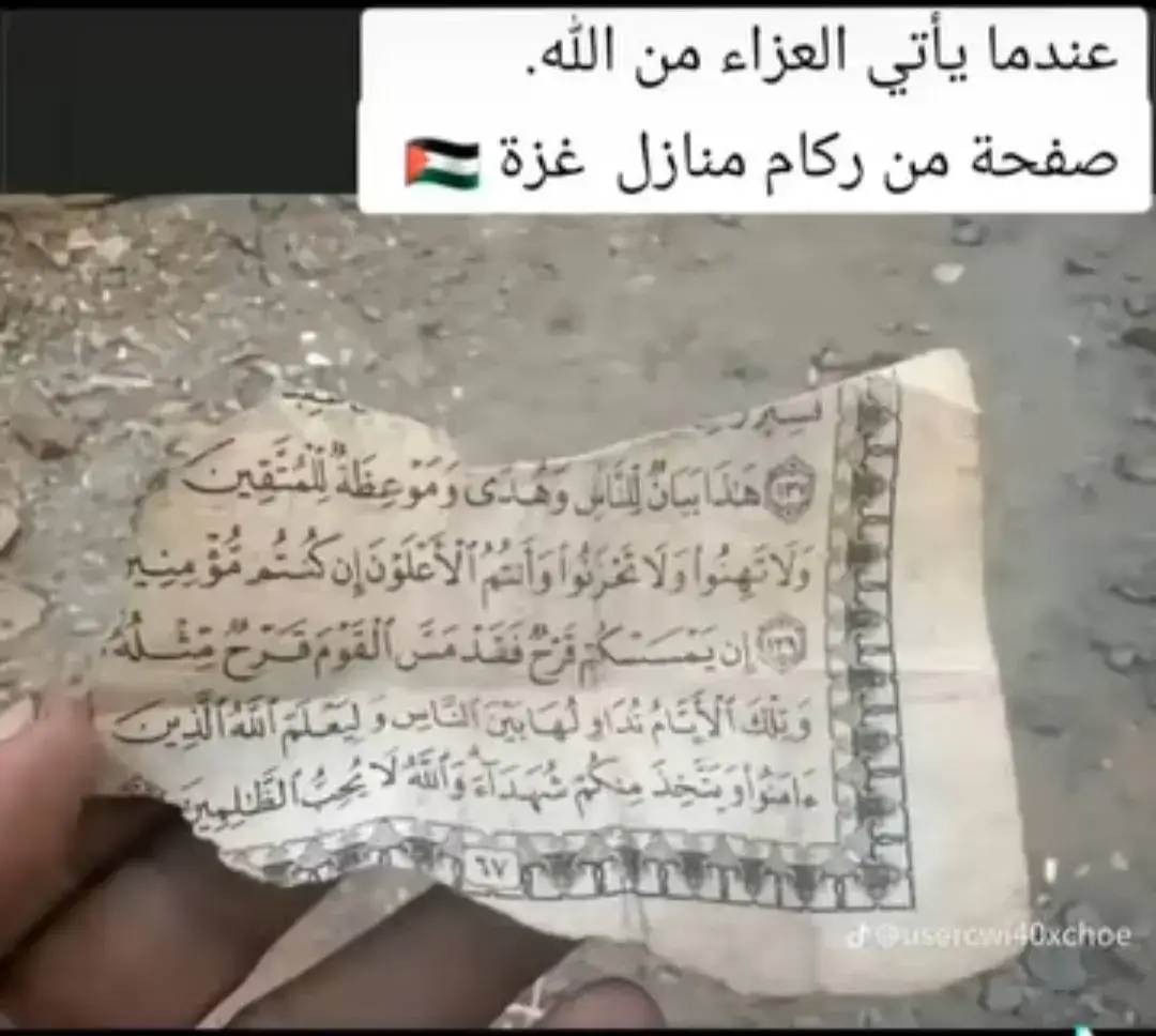 #تحيا فلسطين #فلسطين عربيه #اللهم انصر اخواننا المرابطين في فلسطين الأبيه البطلة المجاهده