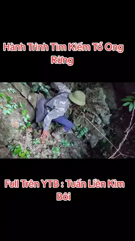 Hành Trình Tìm Tổ Ong Trên Núi Đá Như Thế Nào #tuấnliềnkimbôi #fyp #ongvòvẽ #xuhuong 