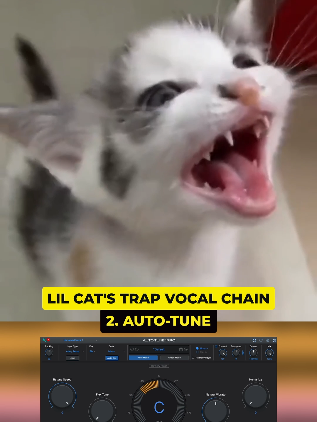 You know it’s not trap without the last plugin… #musicproducer #musicproduction #trapmusic #funnyanimals