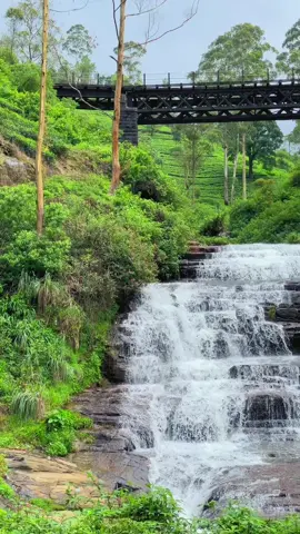 NANU OYA #waterfalls #nanuoyasrilanka🇱🇰 #centralprovince #nature #bridge #nanuoyabridge 