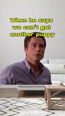 #mean #puppy #roblowe #funny 