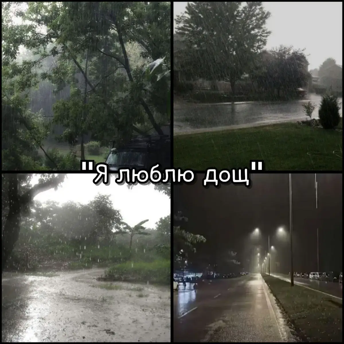 А ʙᥙ 1 чᥙ 2 ʙᥲρіᥲнᴛ? #підписуйтеся #зеленийчай #зеленийчай🍃🍵 #🍵 #🍵tea_team🌿 #🍵💚 #комфорт #🌟 