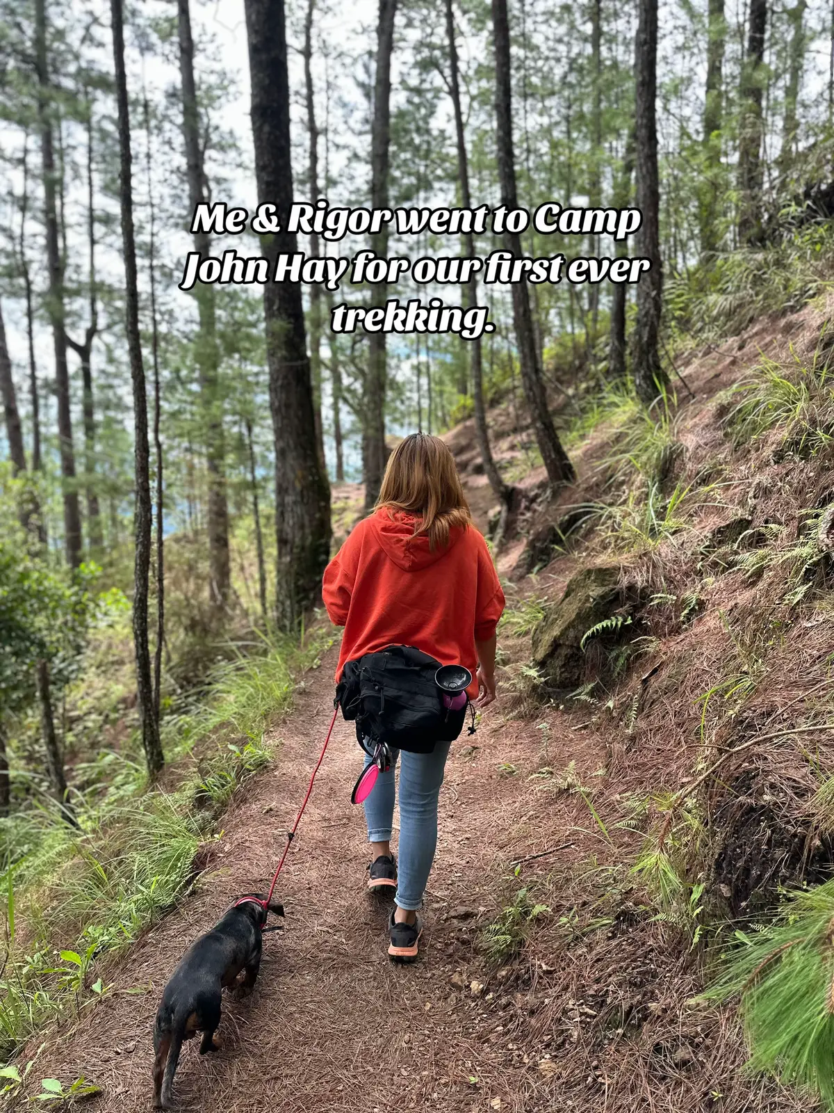 We went to Baguio and did our first ever trekking. He's super behave sa 3 - 4 hours na byahe papuntang Baguio. This is the beginning of our adventure. #daschund #trekking #campjohnhay 