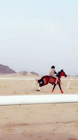 اول قلب ولقاادم افضل يابطلۿ 😘✈️♥️. #خيل_نجران_الاصيله #اكسبلور #خيل #سباقات #تناشيط #شروره #تشغيل #سبوق #خيل_وخياله #خيل_سباقات✈️🔥 #ريس #خيل_نجران #تصلال 