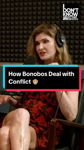 You can see full episode of the @IDKAT with Jim Jefferies with primatologist Natalia Reagan on the @Jimjefferiescomedy YouTube channel #bonobo #bonobos #monkey #monkeysoftiktok #chimp #chimpanzee #primate #primates #jimjefferies #fyp #foryoupage #4u #xyz 