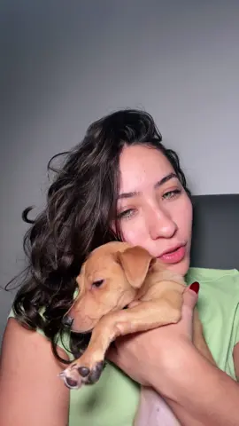 eternamente filhote
