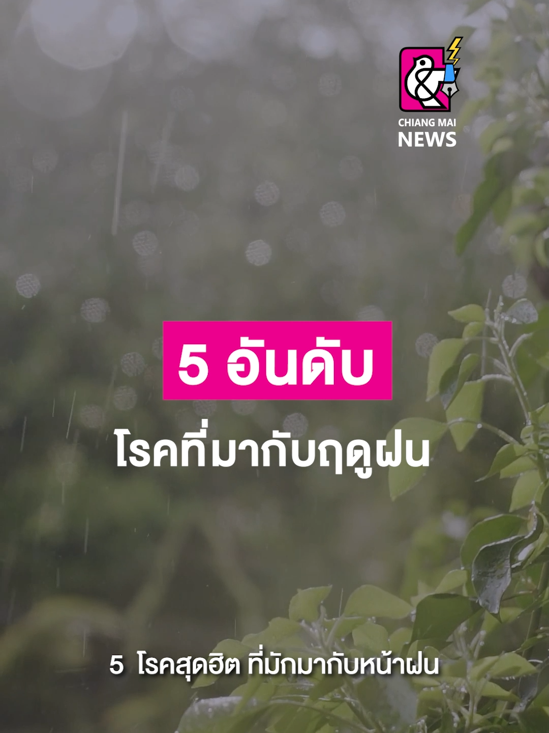 5 โรคสุดฮิต ที่มักมากับหน้าฝน ว่าด้วยเรื่องของหน้าฝน กับสภาพอากาศที่เปลี่ยนแปลงบ่อย นอกจากจะไปไหนมาไหนยุ่งยากแล้ว แต่สิ่งหนึ่งที่หน้ากลัวกว่า คือ โรคที่มากับหน้าฝน . #เชียงใหม่นิวส์ #chiangmainews #ข่าวเชียงใหม่ #tiktoknews