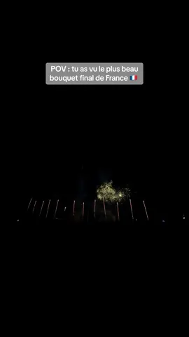 Royan 2024 #pourtoi #foryou #15aout #feudartifice #royan 