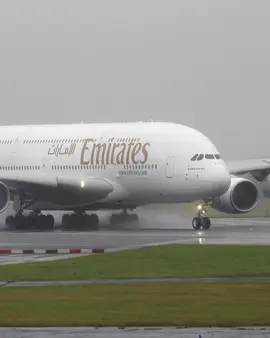 What a noise! ✈️👑