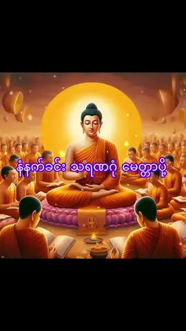 နံနက်ခင်း သရဏဂုံ မေတ္တာပို့#dhammatalk #တရားတော်များ #ဘုရားတရားသံဃာ 