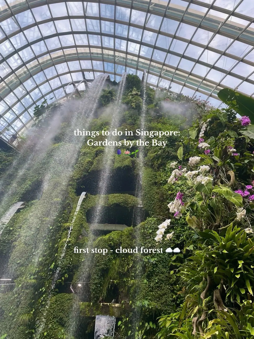 spend the day with me at Gardens by the Bay in Singapore! Honestly such a fantastic experience and so so so pretty✨. I definitely recommend booking in advance, there are loads of packages on websites such as klook or on the main website, so you get the chance to see as many of the attractions as possible! 📍 Going to be posting more Singapore recommendations, if you’re interested  🫶🏼🤩📷 #SingaporeTikTok #Singapore #travel #gardensbythebay #marinabaysands 