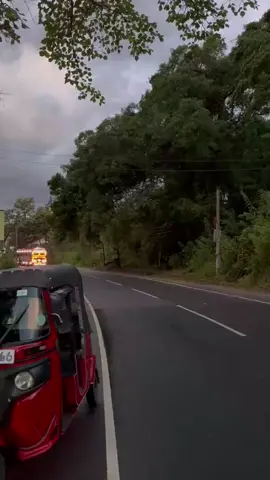 කොල සිතැත්ති 💛