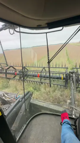 First day of swathing of 2024, almost the end of a era for swathers soon to be straight-cut everything. Enjoy while it last. #swather #macdon #m155 #canola #farmlife #northernalberta #fyp 