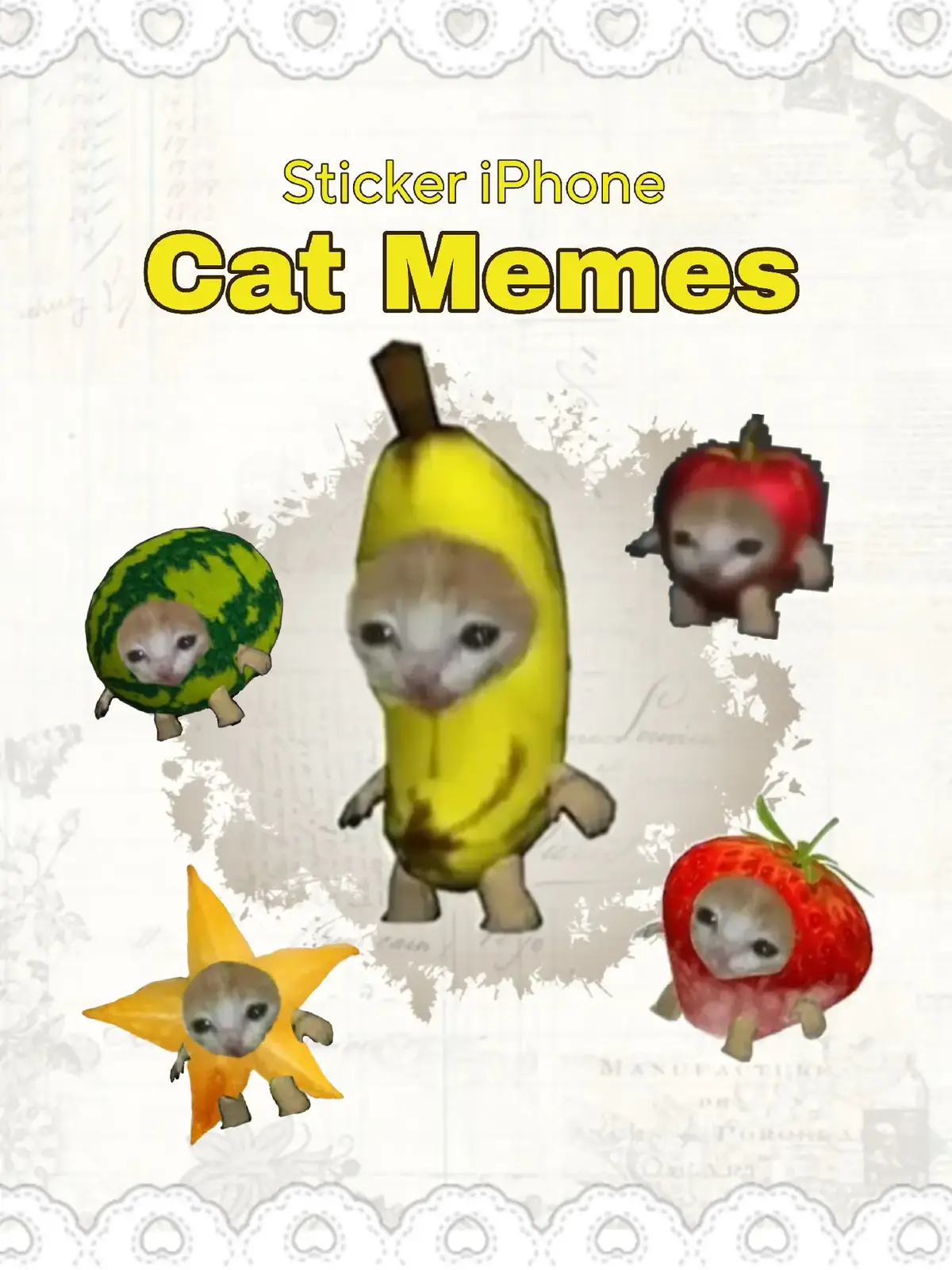Cat Memes #memes #stickeriphone #catmemes #dangiu #fyp #viral 