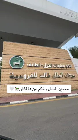 المكان لايفوتكم🤩🤍#fyp #foryou #taif #الطايف #الحويه #خيل #تغطيات_الطايف #كافيهات_الطائف #tiktokindia #foryoupage #explore 