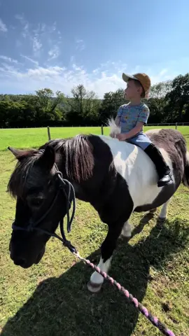 Another day another ride 🥰 on a sunny day like today its the best place to be! Hes doing so great considering hes only 3 years old! #horseriding #shetland #countrylife #Outdoors #mumofboys 