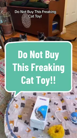 #tiktokshopfinds #interactivecattoy #tortoiseshellcat #funnycatsoftiktok 