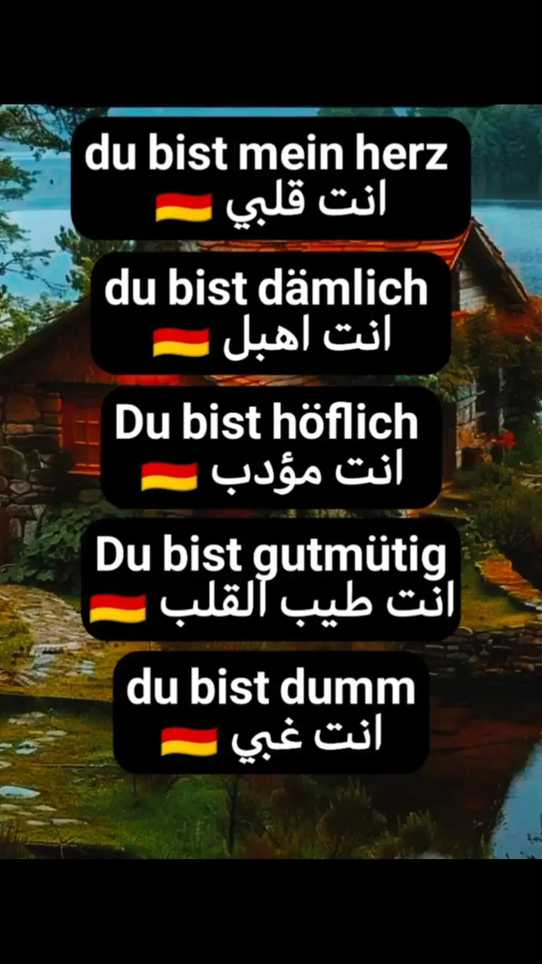 #تعلم_على_التيك_توك #firaltiktok🔥🔥🔥✌️ #المانيا🇩🇪_النمسا #المانيا🇩🇪 #المانيا🇩🇪 #fyp #سوريا 