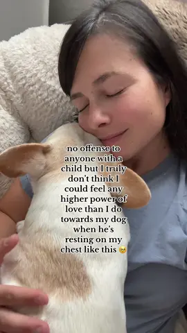 the only motherly instinct i have is to be a dog mom to this angel 🐾  #frenchbulldog #dogparent #frenchie #dinks 