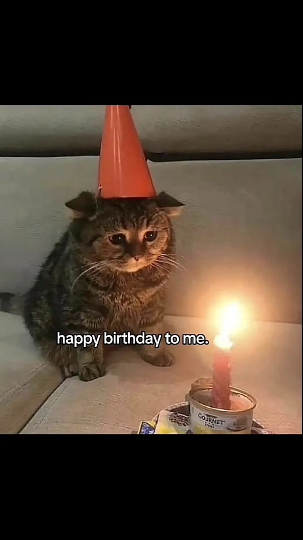 happy birthday to me. #17august #happybirthday #sadcat #sadsong #tiktok #foryoupage 