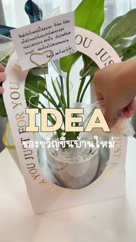 มีไอเดียของขวัญขึ้นบ้านใหม่มาฝากค่ะ ต้นไม้มงคลที่จัดใส่กระเช้าอย่างสวยงาม พร้อมการ์ดอวยพรถูกใจทั้งคนให้และคนรับแน่นอนนนน 📍พิกัดร้านแกะไว้ในคลิปแล้ววว ไปดูได้ในอจ.น้าาา #ต้นไม้ #ต้นไม้มงคล #ของขวัญ #น้องหนุ๋ยคุยไปเรื่อย #tiktokป้ายยา #ของขวัญขึ้นบ้านใหม่ #รีวิว #เทรนด์วันนี้ #fyp 