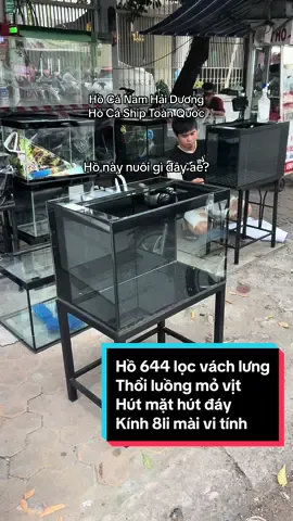 Tiếp tục phủ sóng ae con hồ ngon bổ rẻ gọn đẹp 644 vách lưng nuôi chép mini hoặc cá lóc hết sẩy con bà bẩy🥰🥰 #hocanamhaiduong#xuhuongtiktok#fyp#CapCut#aquascape#kinh#aquarium#fishtank#holocvach#holocvachcongnghe#hocacanh